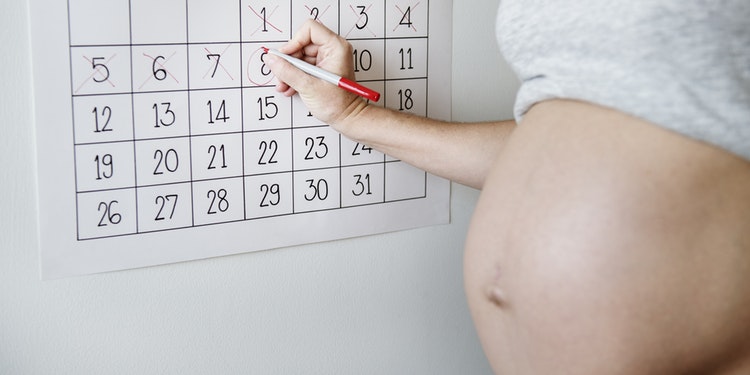 Grossesse semaine par semaine